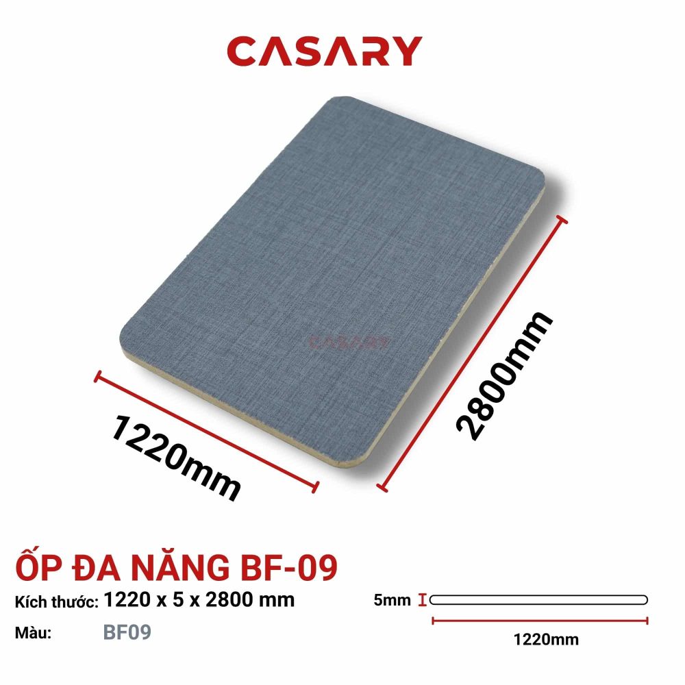 tam op da nang casary bf 09 3